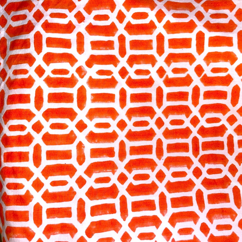 Roberta Roller Rabbit European Pillow Shams